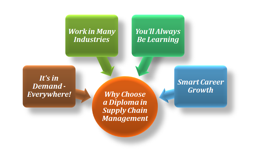 diploma in supply chain management in noida